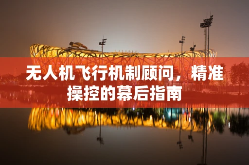无人机飞行机制顾问，精准操控的幕后指南