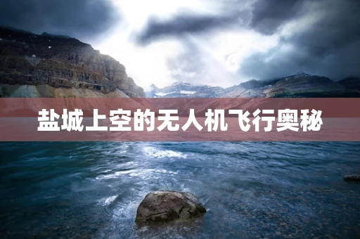 盐城上空的无人机飞行奥秘