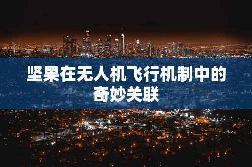 坚果在无人机飞行机制中的奇妙关联