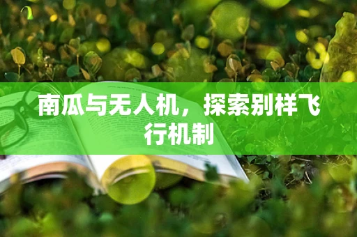 南瓜与无人机，探索别样飞行机制
