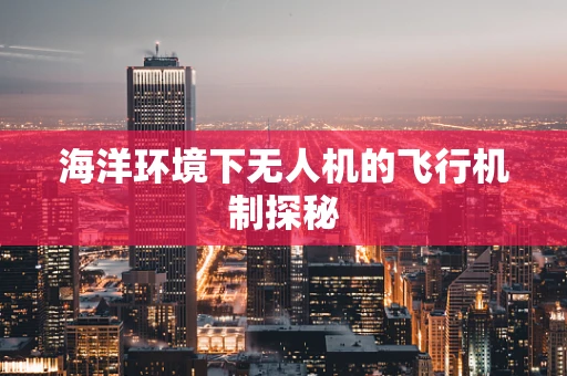 海洋环境下无人机的飞行机制探秘