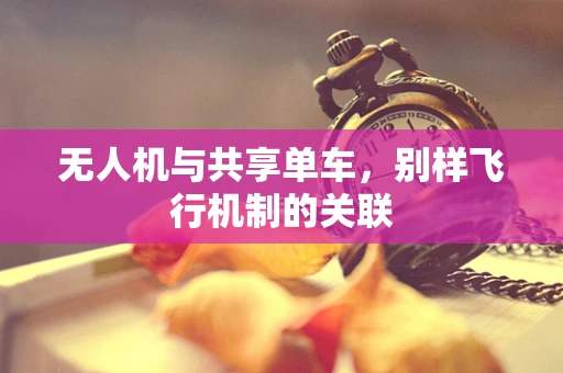 无人机与共享单车，别样飞行机制的关联