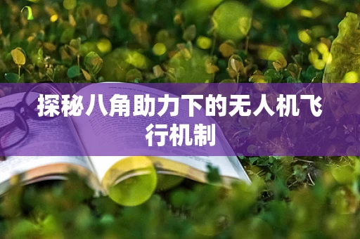 探秘八角助力下的无人机飞行机制