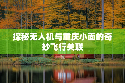 探秘无人机与重庆小面的奇妙飞行关联