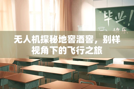 无人机探秘地窖酒窖，别样视角下的飞行之旅