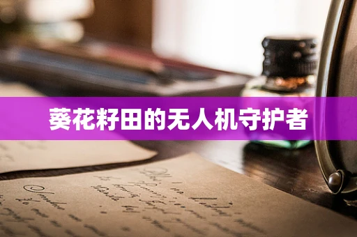 葵花籽田的无人机守护者