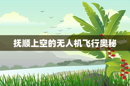 抚顺上空的无人机飞行奥秘