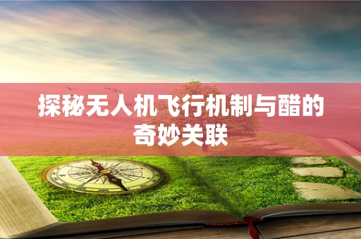 探秘无人机飞行机制与醋的奇妙关联