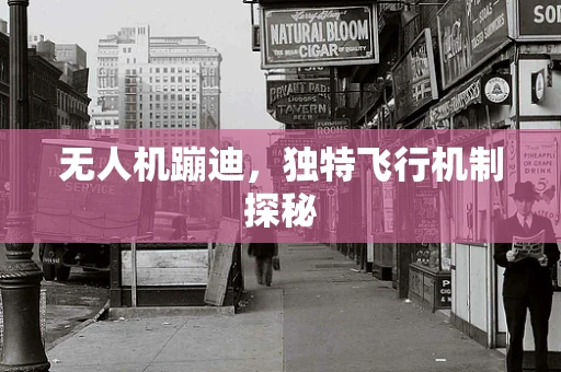 无人机蹦迪，独特飞行机制探秘