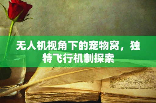 无人机视角下的宠物窝，独特飞行机制探索