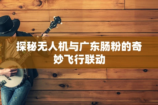 探秘无人机与广东肠粉的奇妙飞行联动