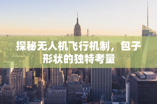 探秘无人机飞行机制，包子形状的独特考量
