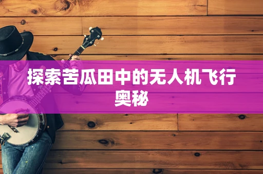 探索苦瓜田中的无人机飞行奥秘