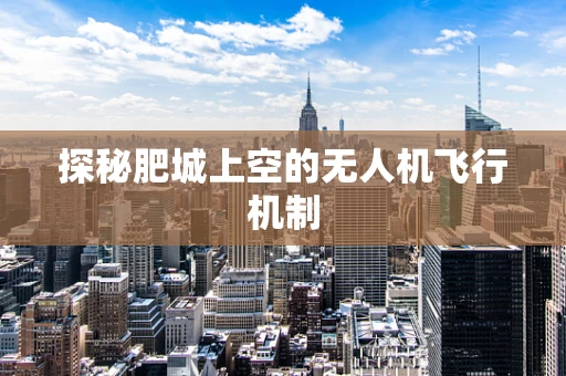 探秘肥城上空的无人机飞行机制