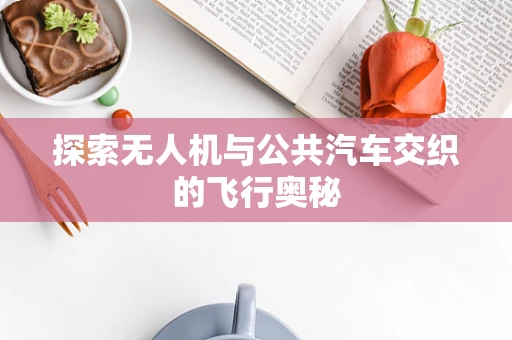 探索无人机与公共汽车交织的飞行奥秘