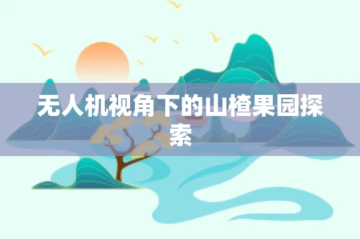 无人机视角下的山楂果园探索