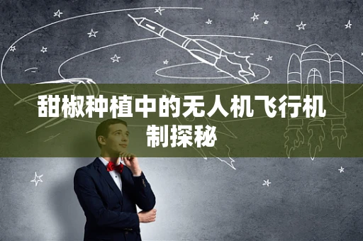 甜椒种植中的无人机飞行机制探秘