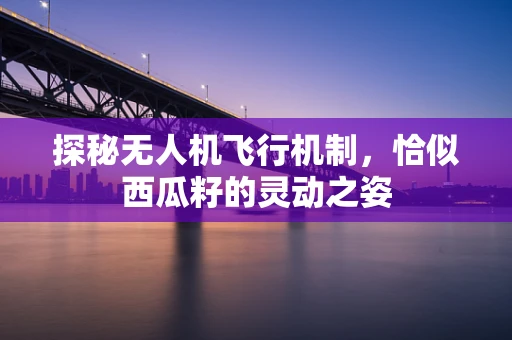 探秘无人机飞行机制，恰似西瓜籽的灵动之姿