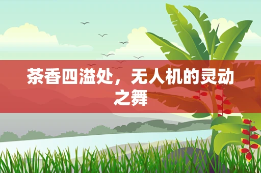 茶香四溢处，无人机的灵动之舞