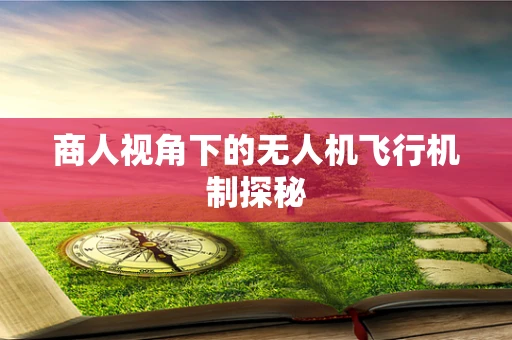 商人视角下的无人机飞行机制探秘