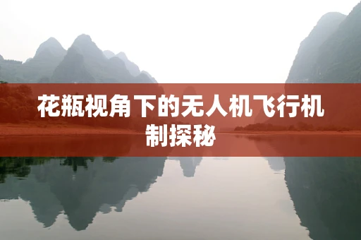花瓶视角下的无人机飞行机制探秘