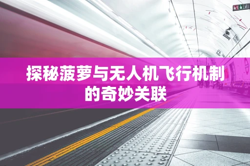 探秘菠萝与无人机飞行机制的奇妙关联