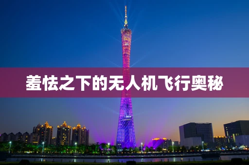 羞怯之下的无人机飞行奥秘
