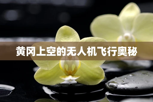 黄冈上空的无人机飞行奥秘