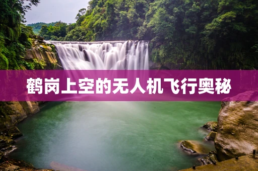 鹤岗上空的无人机飞行奥秘