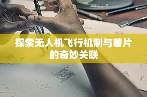 探索无人机飞行机制与薯片的奇妙关联