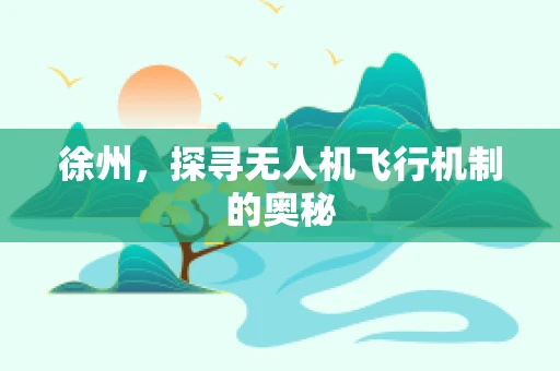 徐州，探寻无人机飞行机制的奥秘