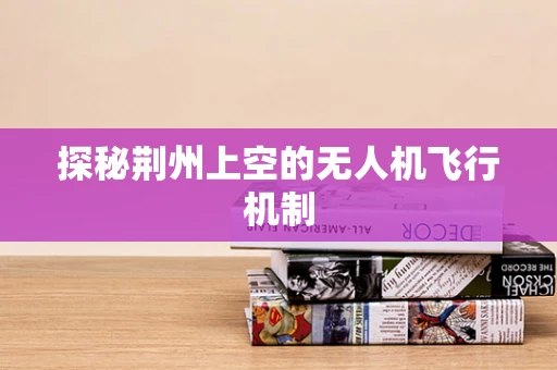 探秘荆州上空的无人机飞行机制