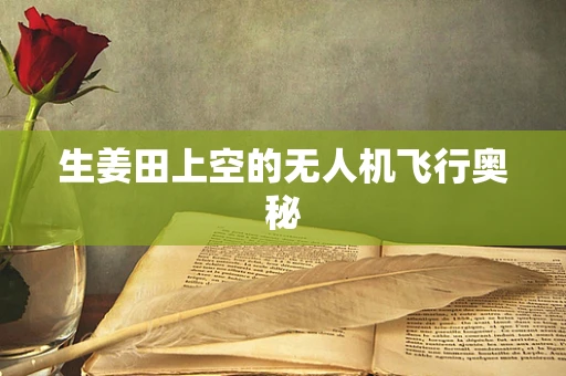 生姜田上空的无人机飞行奥秘