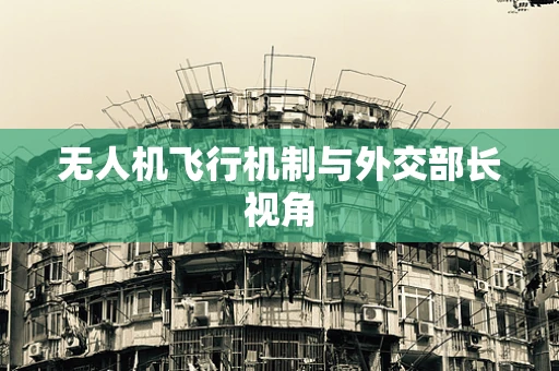 无人机飞行机制与外交部长视角