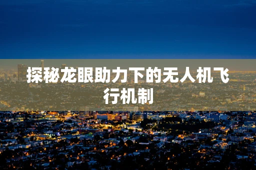 探秘龙眼助力下的无人机飞行机制