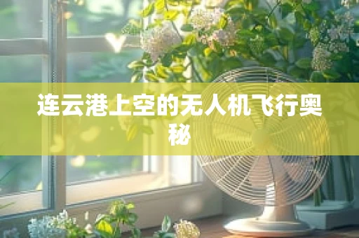 连云港上空的无人机飞行奥秘