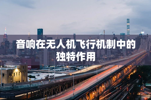 音响在无人机飞行机制中的独特作用