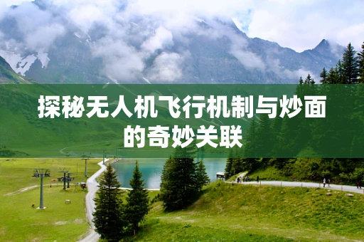 探秘无人机飞行机制与炒面的奇妙关联