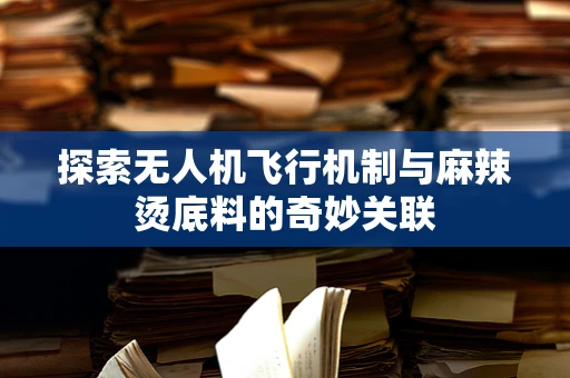 探索无人机飞行机制与麻辣烫底料的奇妙关联