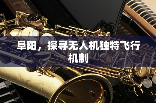 阜阳，探寻无人机独特飞行机制