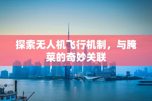 探索无人机飞行机制，与腌菜的奇妙关联
