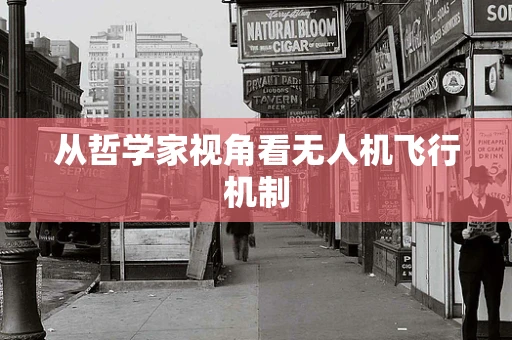 从哲学家视角看无人机飞行机制