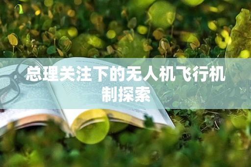 总理关注下的无人机飞行机制探索