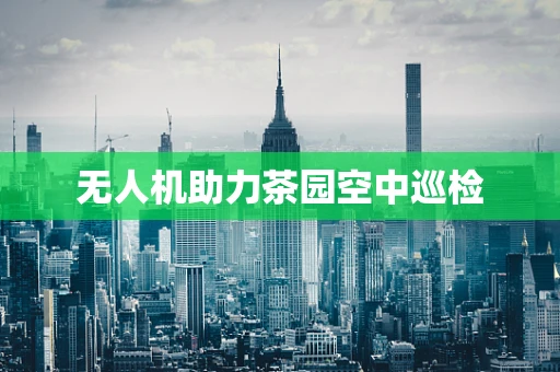无人机助力茶园空中巡检