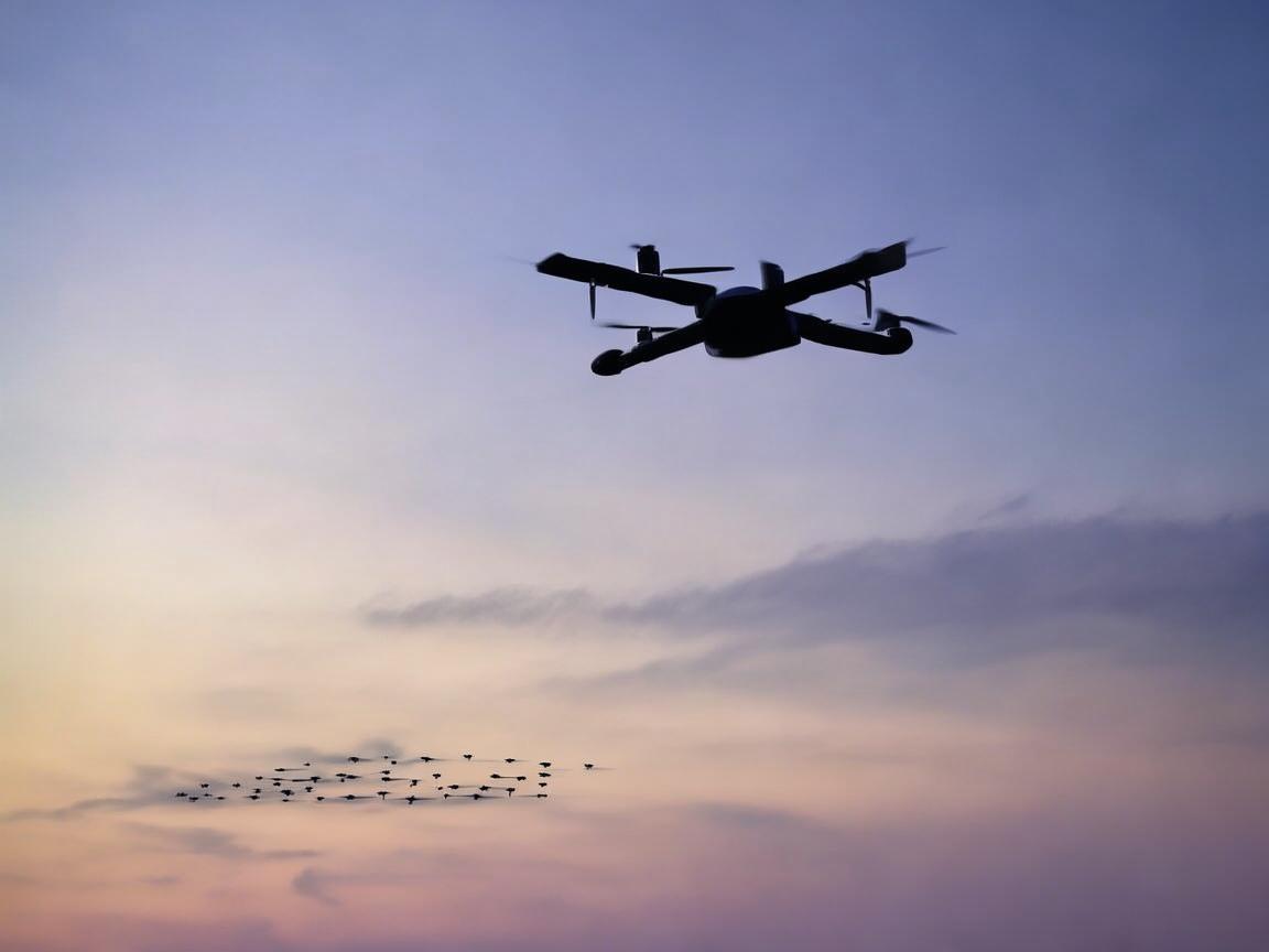 无人机与网约车飞行机制的关联探索